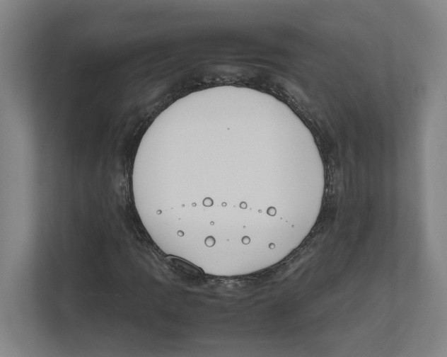 X0000111451109200908101029
