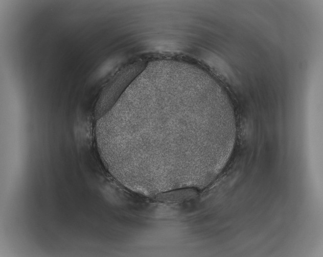 X0000111451110200908101029