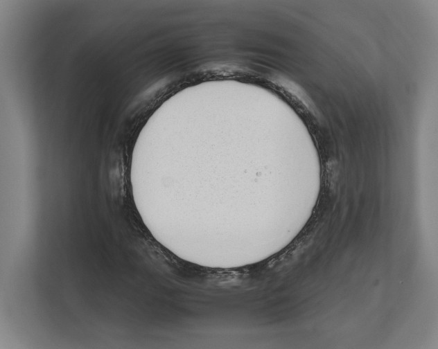 X0000111451111200908101029