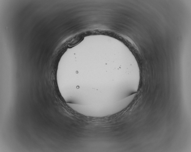 X0000111451112200908101029