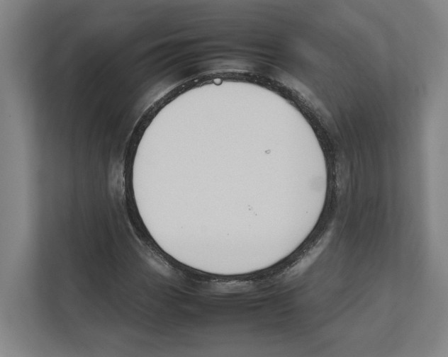 X0000111451113200908101029