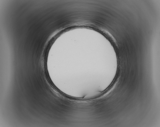 X0000111451114200908101029