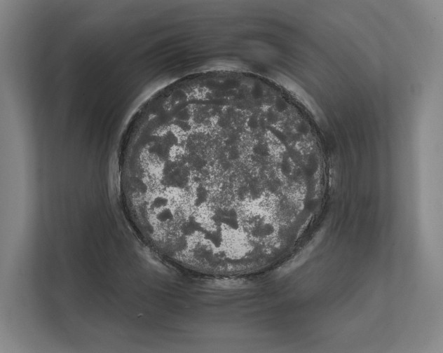 X0000111451117200908101029