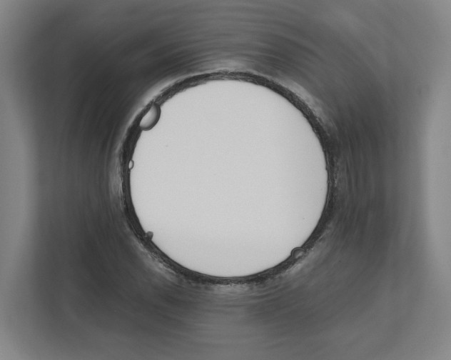 X0000111451118200908101029