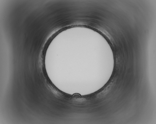 X0000111451119200908101029