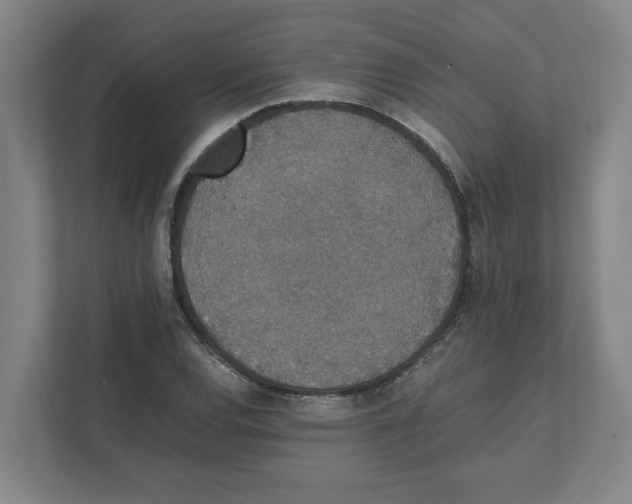 X0000111451120200908101029