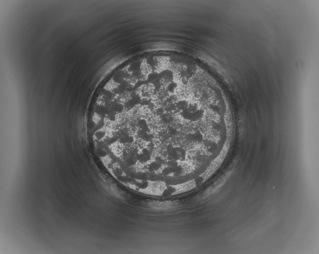 X0000111451121200908101029