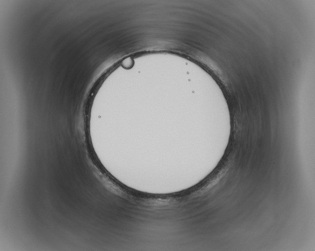 X0000111451122200908101029