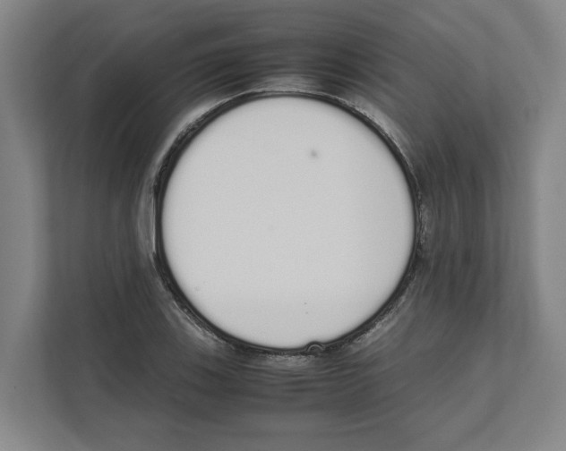 X0000111451123200908101029