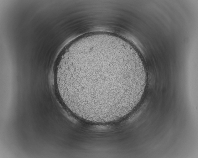 X0000111451125200908101029