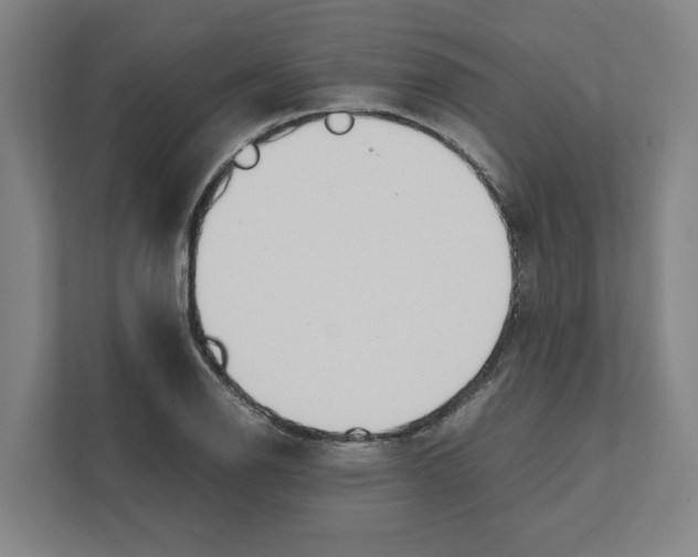 X0000111451126200908101029