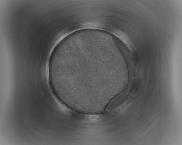 X0000111451128200908101029