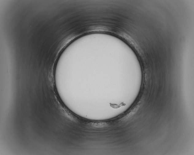 X0000111451129200908101029