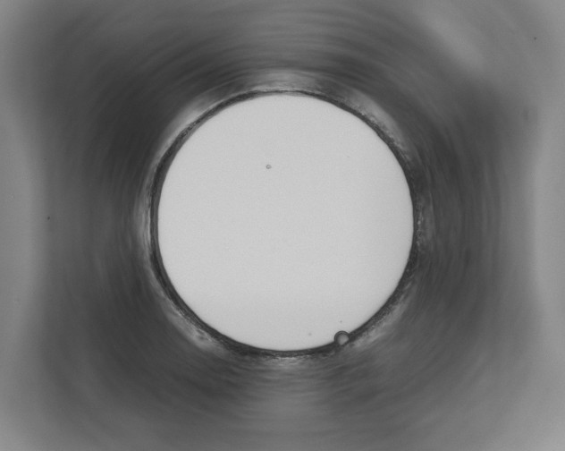 X0000111451130200908101029