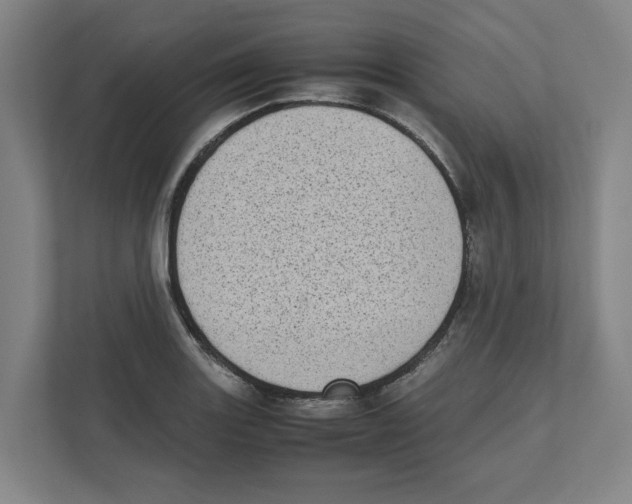 X0000111451131200908101029