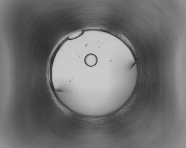 X0000111451132200908101029