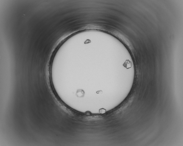X0000111451133200908101029