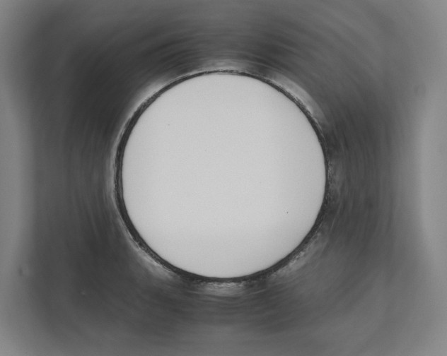 X0000111451135200908101029
