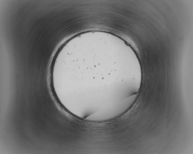 X0000111451136200908101029
