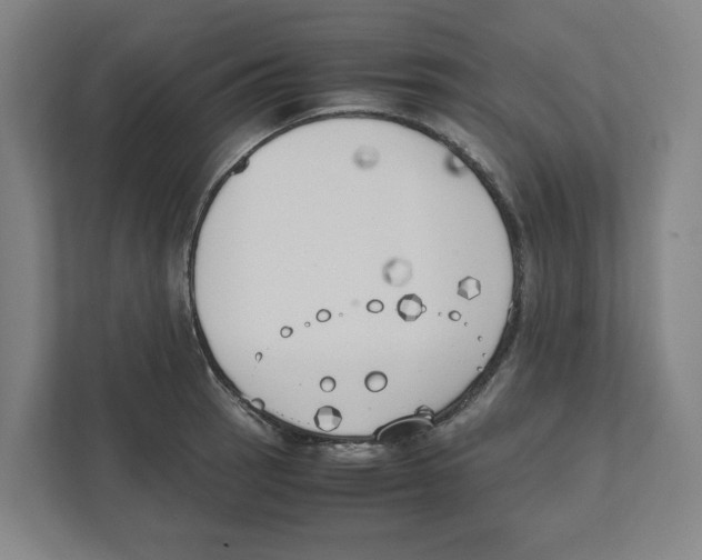 X0000111451137200908101029