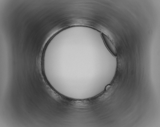X0000111451138200908101029