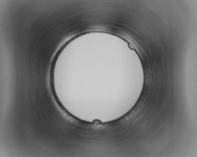 X0000111451139200908101029