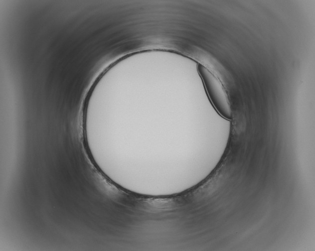 X0000111451140200908101029