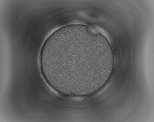 X0000111451141200908101029