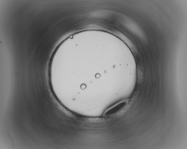 X0000111451142200908101029