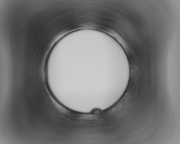 X0000111451143200908101029