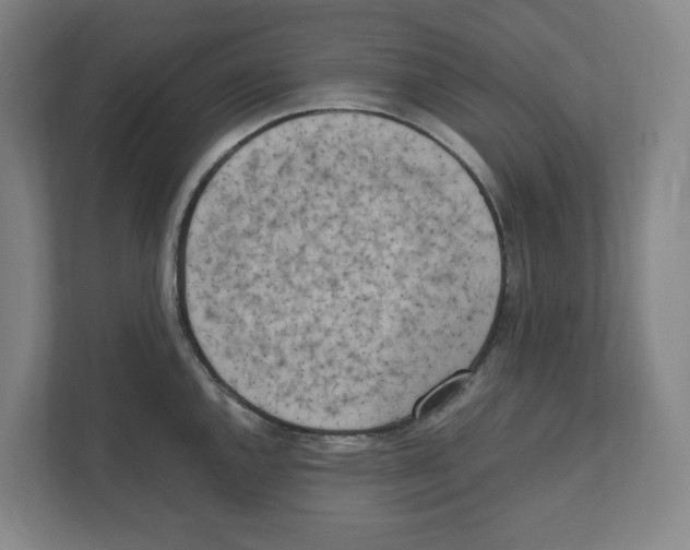 X0000111451144200908101029