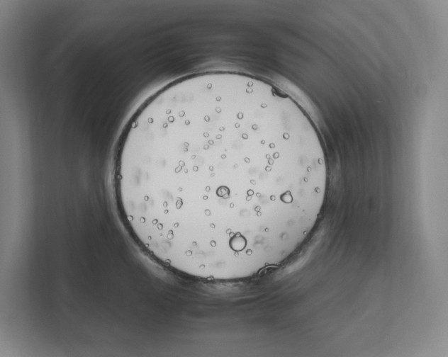 X0000111451149200908101029