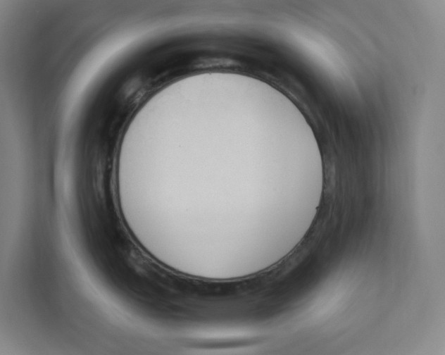 X0000111451151200908101029