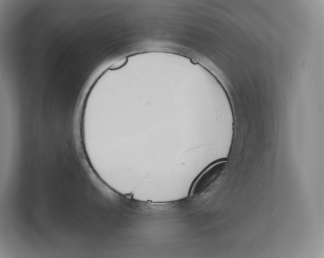 X0000111451152200908101029