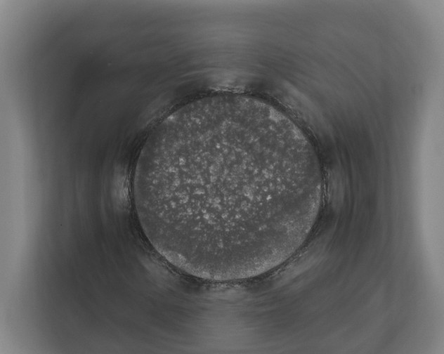 X0000111451154200908101029