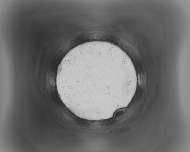 X0000111451155200908101029