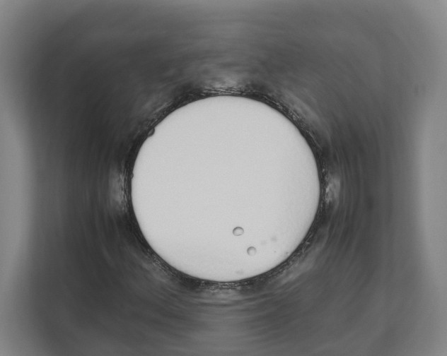 X0000111451156200908101029