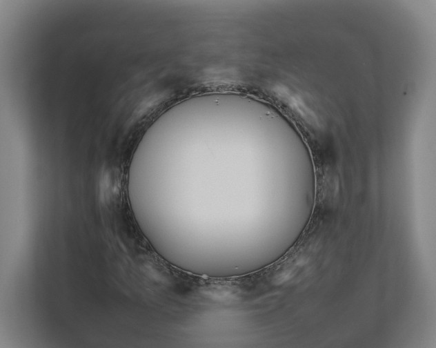 X0000111451157200908101029