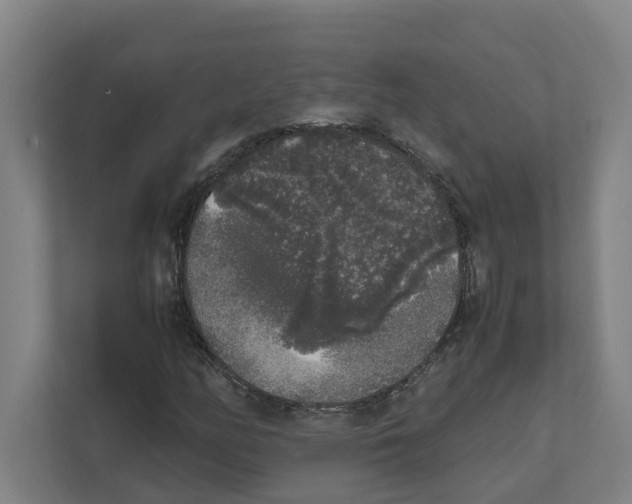 X0000111451158200908101029