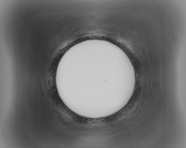 X0000111451159200908101029