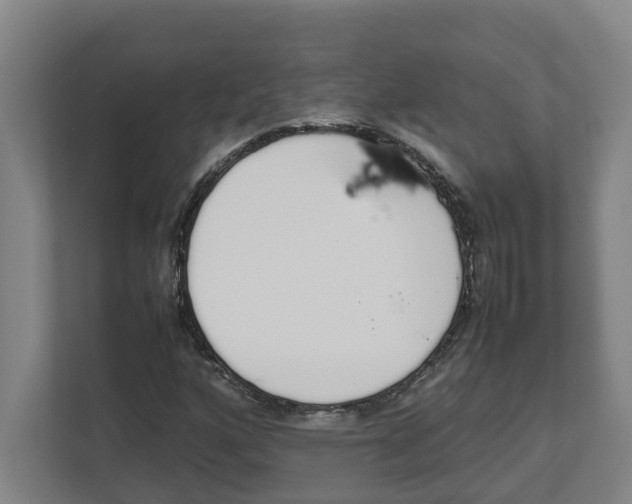 X0000111451160200908101029