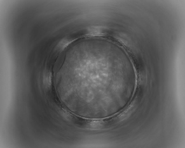 X0000111451161200908101029