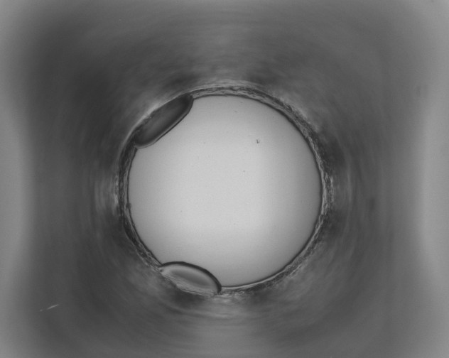 X0000111451165200908101029