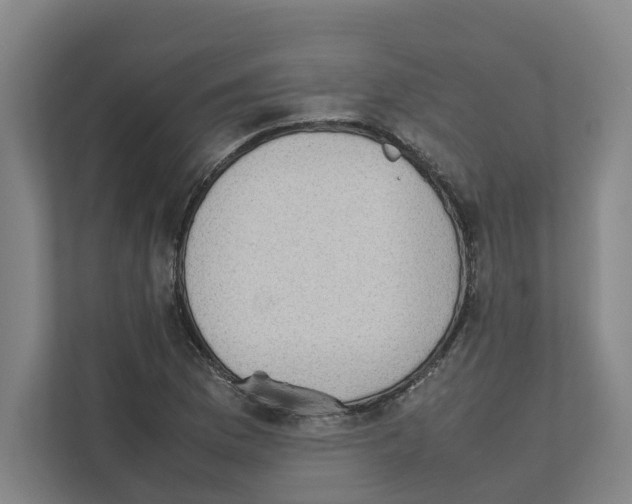 X0000111451169200908101029