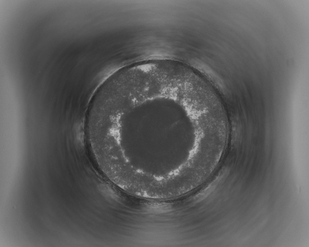 X0000111451170200908101029