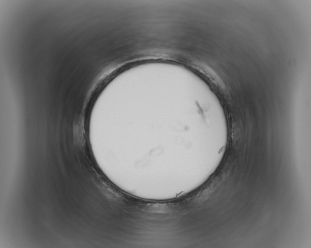 X0000111451172200908101028