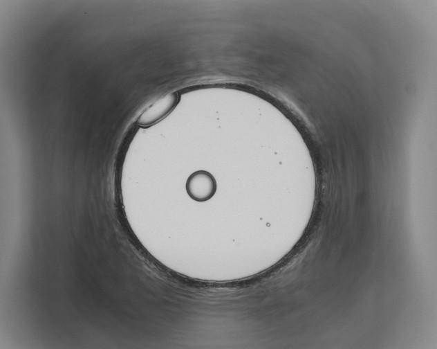 X0000111451173200908101028