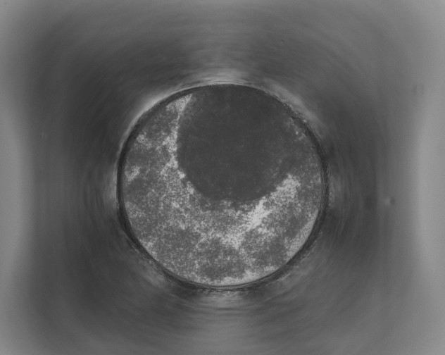 X0000111451174200908101028