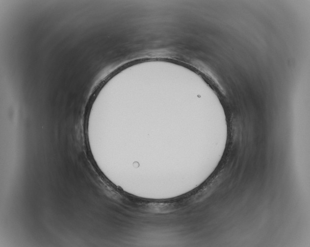 X0000111451176200908101028