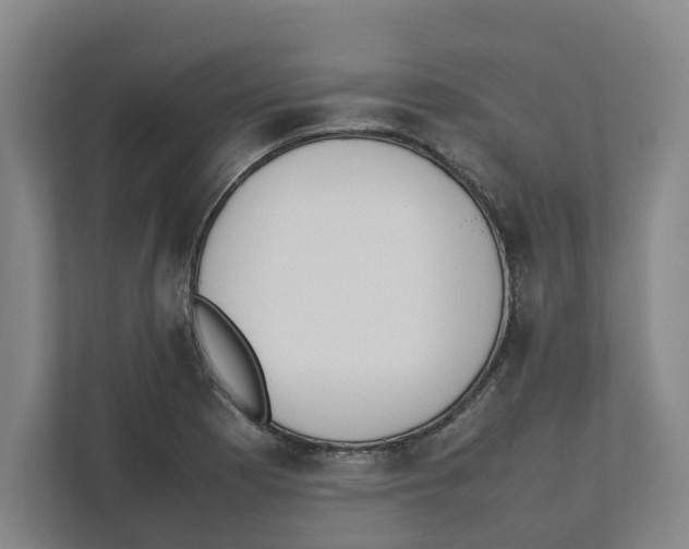 X0000111451177200908101028